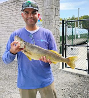 Lake Erie walleye action never disappoints!